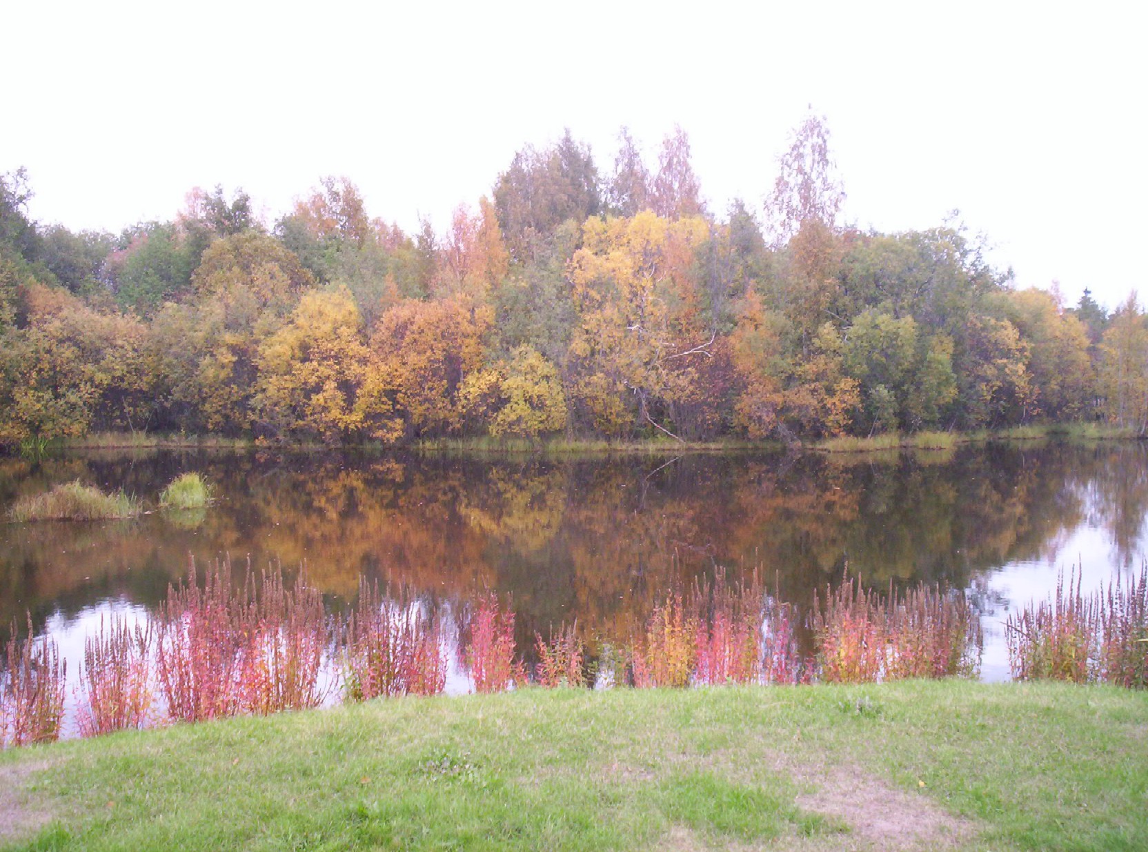 OULU (FIN) - Park 57